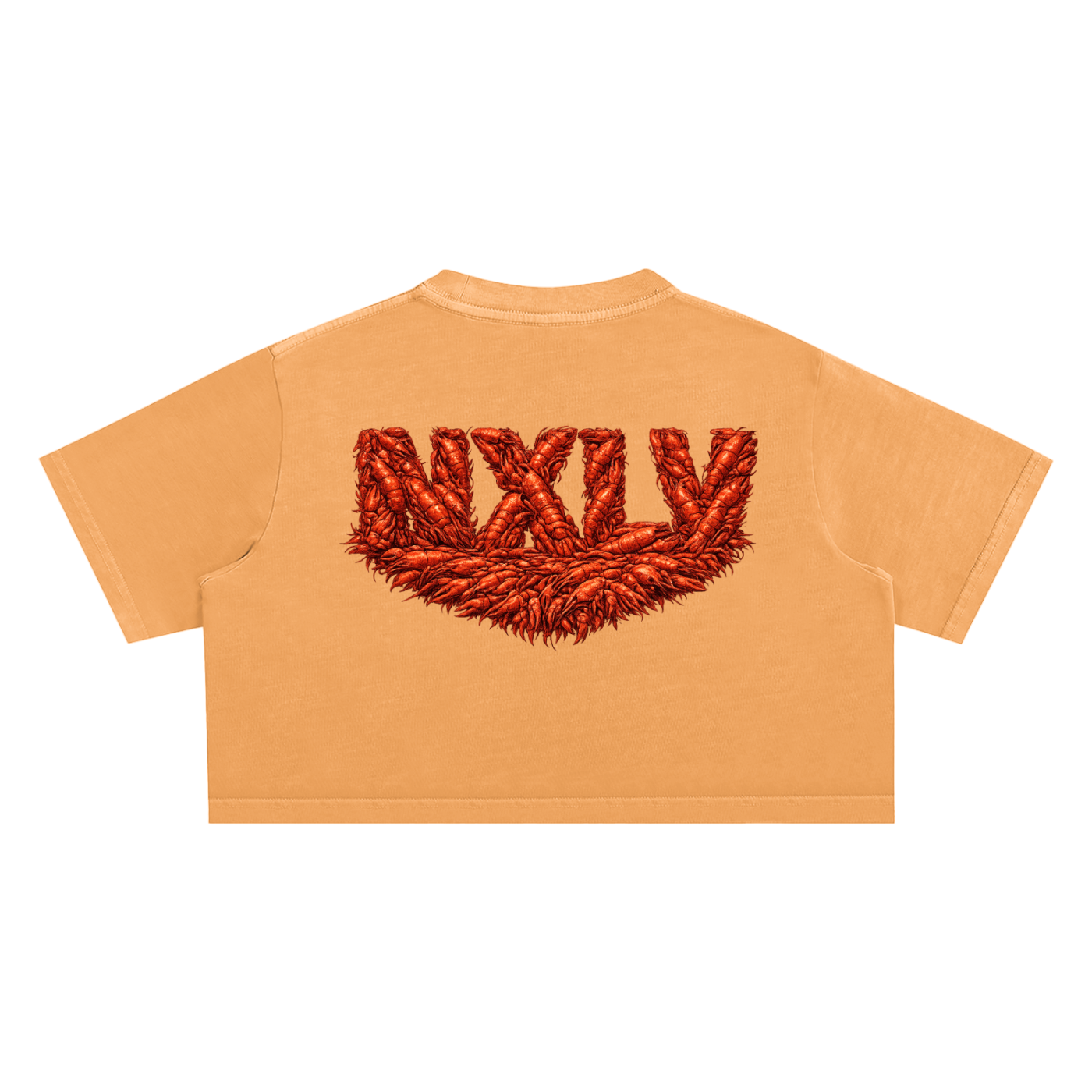 Snow Washed Crop Top